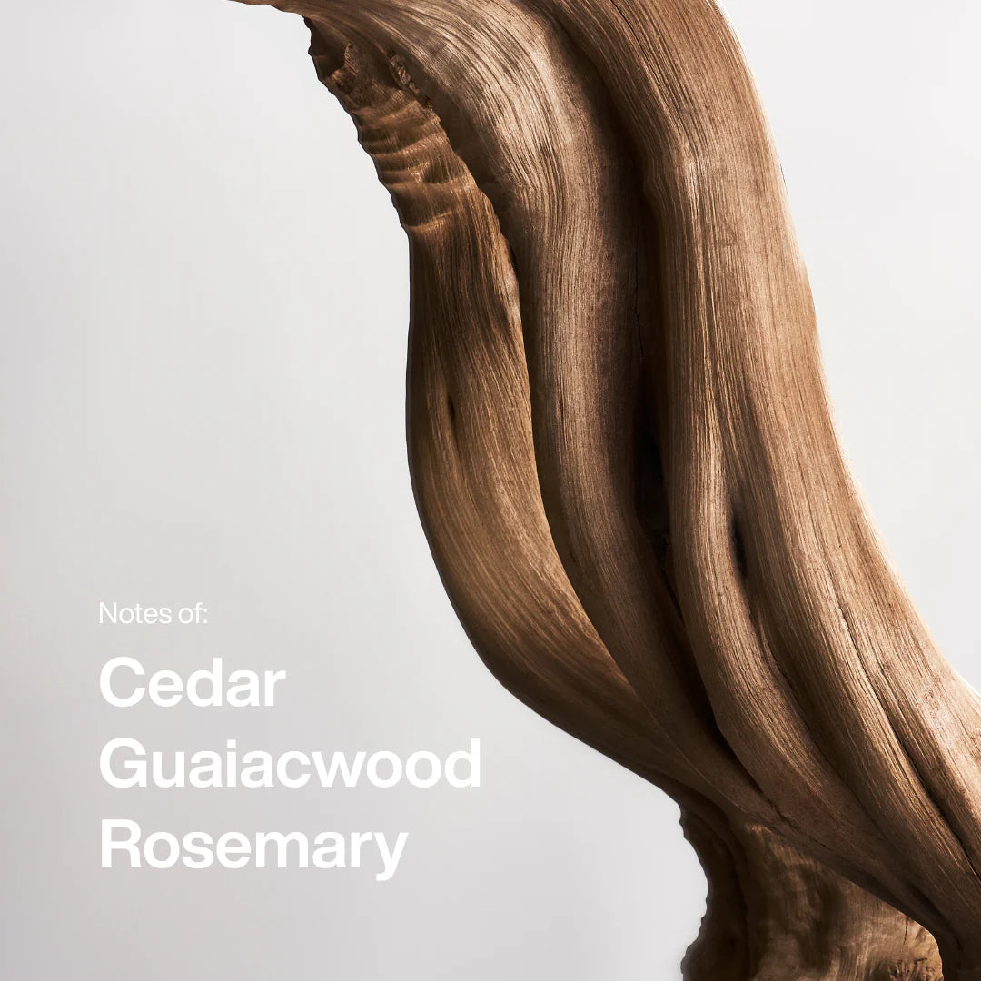 Cedarwood Fragrance Duo