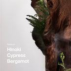 Hinoki Wood Fragrance Duo